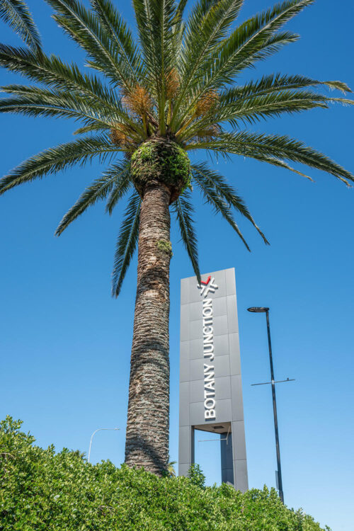 HHomepage BJ Totem image